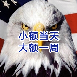 越西要账公司